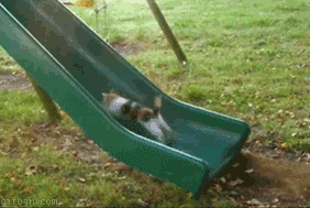 This is more of a Monday GIF, really.
