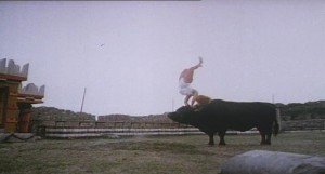 The bull did all his own stunts.